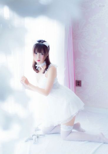 妃神会动漫免费全集播放_4K在线播放观看
