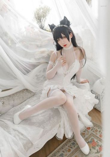 236宅宅理论片在线观看_4K免费观看超清