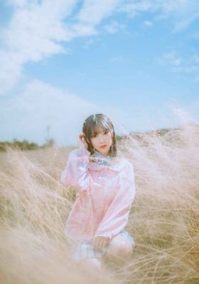 八戒八戒_BD动漫在线观看